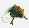 CorelDRAW X3 - graphics suite